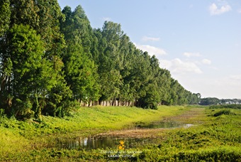 PAMPANGA | Doña Simang Bird Sanctuary in Candaba - Lakad Pilipinas